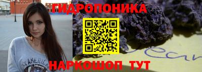 эйфоретик Гусев