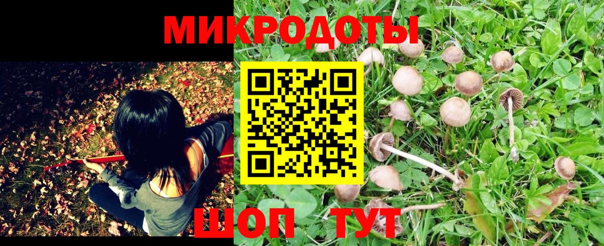 Псилоцибиновые грибы прущие грибы Обнинск